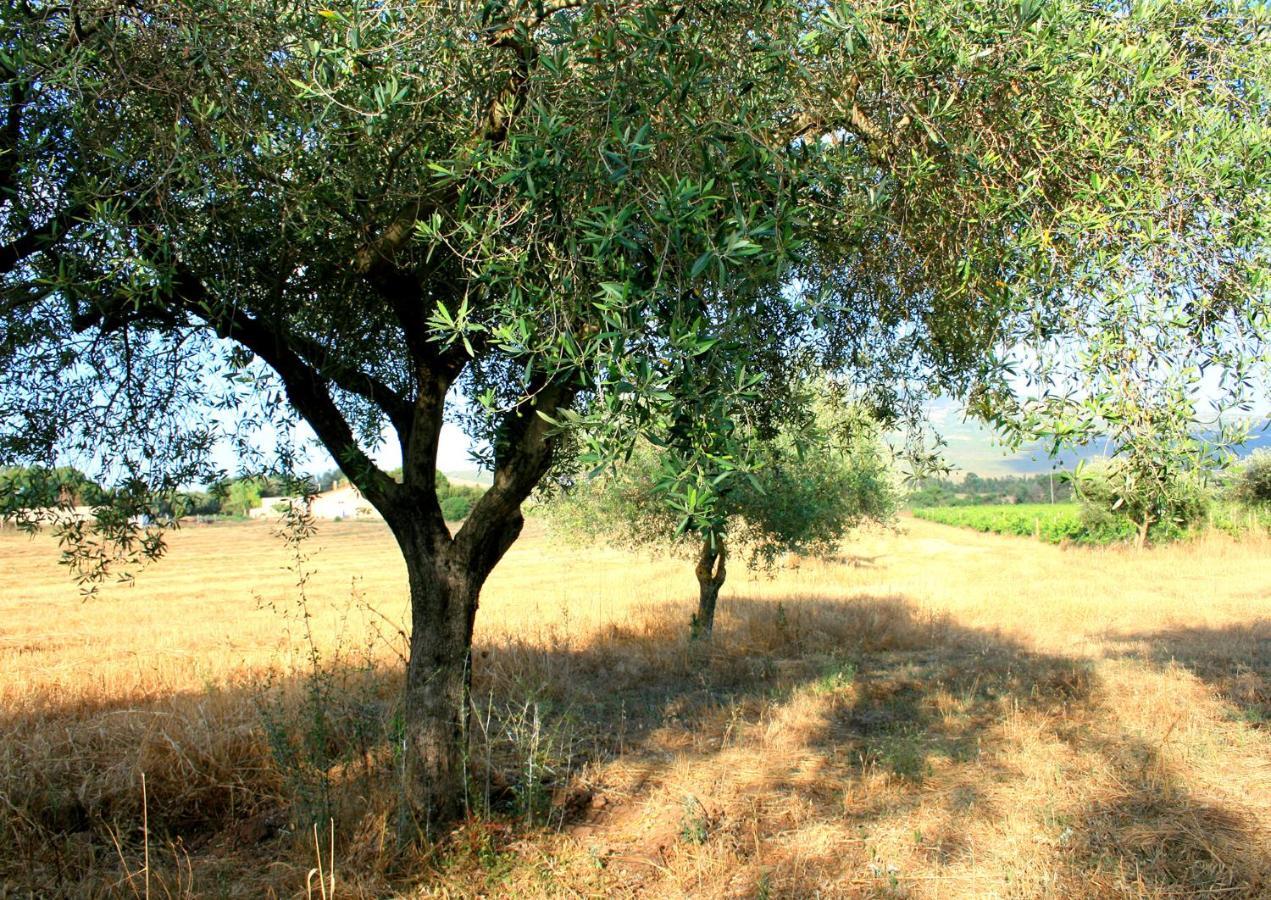 Agriturismo Da Pina Porto Conte Dış mekan fotoğraf