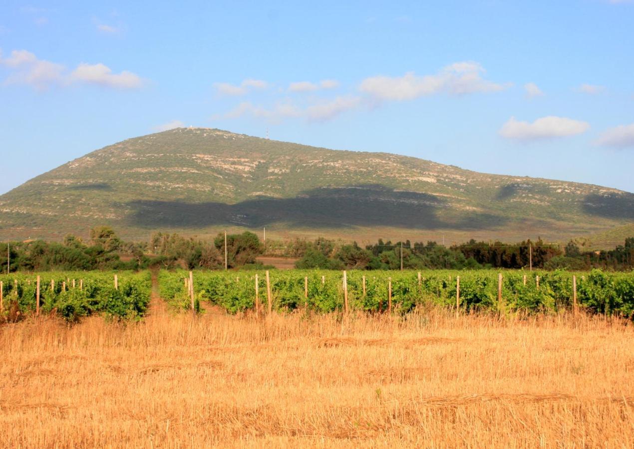 Agriturismo Da Pina Porto Conte Dış mekan fotoğraf